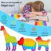 24 Packs Fidget Toys Bulk Gifts for Kids Adults , Classroom Boys Girls Sensory Bubble Set Carnival Pinata Prizes Bag, Desk Toy Party Favors Kit Game Ideas Gift Cute Animal view 4