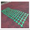 DREAMOSA Climbing Cargo Net,Outdoor Ninja Obstacle Net for Kids Backyard,Indoor Rope Ladder Playground Swing Set Treehouse Netting Webbing Climbing Heavy Duty Nets,Accessories for Slacklines,Green view 1