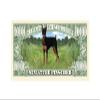 American Art Classics Pack of 50 - Miniature Pinscher - MinPin Million Dollar Bills - Collectible Novelty Million Dollar Bills - Best Gift for Mini Pinscher Lovers view 3