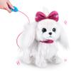 Pets Alive Lil' Paw The Walking Puppy by ZURU Interactive Dog That Walk, Waggle, and Barks, Interactive Plush Pet, Electronic Leash, Soft Toy for Kids and Girls view 4