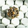 UDIXI 22mm D20 Metal Dice, Single D20 DND Dice with Hollow Dragon Design for D&D Role Playing Game (Ancient Golden) view 3