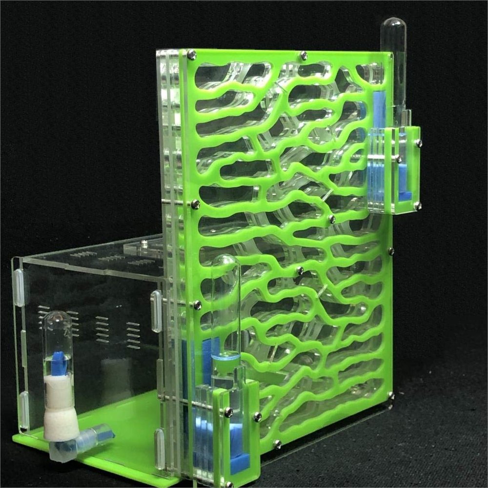 19.5 * 15 * 22cm Large Viewing Area - Care for Live Ants,moisturing arylic ant Habitat for STEM Learning (Green)