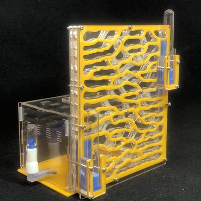 19.5 * 15 * 22cm Large Viewing Area - Care for Live Ants,moisturing arylic ant Habitat for STEM Learning (Yellow)