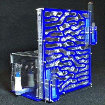 19.5 * 15 * 22cm Large Viewing Area - Care for Live Ants,moisturing arylic ant Habitat for STEM Learning (Blue)