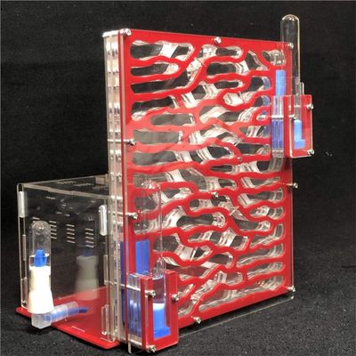 19.5 * 15 * 22cm Large Viewing Area - Care for Live Ants,moisturing arylic ant Habitat for STEM Learning (red)