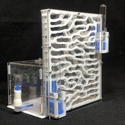 19.5 * 15 * 22cm Large Viewing Area - Care for Live Ants,moisturing arylic ant Habitat for STEM Learning (White)