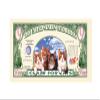 American Art Classics Pack of 25 - Crazy for Cats 9 Lives Novelty Money Collectible Bills view 2