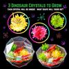 Original Stationery Dinosaur Crystal Growing Kit - Multicolor, 17-Piece, Ages 7 & Up - DIY Science Terrarium Kit with Moss & Dino Figures - Grow Your Own Crystals - Boys Birthday Gifts view 4