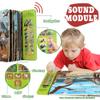 OENUX Dinosaur Toys with Interactive Sound Book for Kids 3-5, Dinosaur Book with Sound &12 Toy Dinosaurs Figures, Toddler Learning Toys for Boy, Present for Boys Girl Age 4-7 view 3