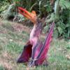 Gemini&Genius Pterosaur Toy for Kids, Large Size 5.5" Quetzalcoatlus Dinosaur Toy, Pterodactyl Toy, Large Flying Dinosaur Toy, Realistic Pteranodon Toy for Kids Display and Play view 3