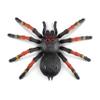 Robo Alive Giant Tarantula by ZURU Battery-Powered Robotic Interactive Electronic Spider That Moves and Crawls, Comes with Web Slime, Prankst Toys for Boys, Kids, Teens view 3