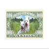 American Art Classics Pack of 100 - Westie Dog Million Dollar Bill - Best Gift for West Highland White Terrier Lovers view 3