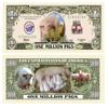 American Art Classics Pack of 25 - Pig Million Dollar Bill - Best Gift or Keepsake for Piggy Lovers view 1
