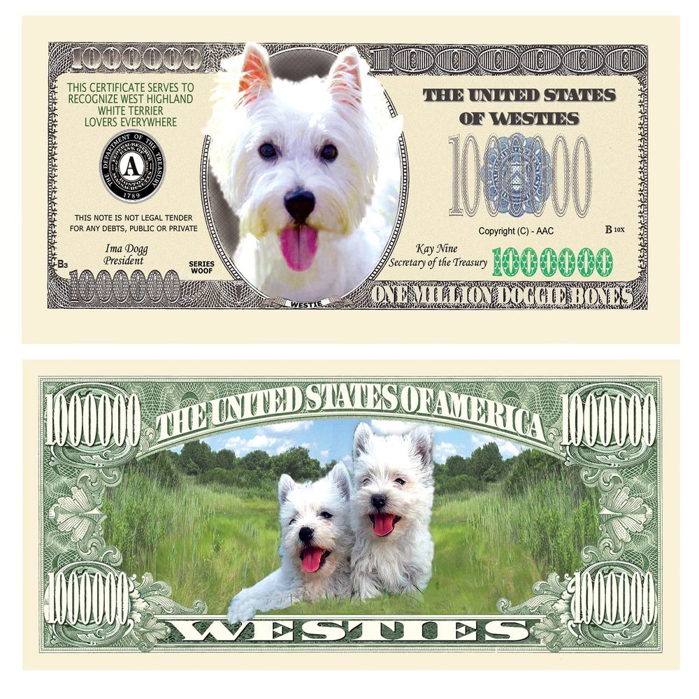American Art Classics Pack of 25 - Westie Dog Million Dollar Bill - Best Gift for West Highland White Terrier Lovers