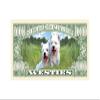 American Art Classics Pack of 25 - Westie Dog Million Dollar Bill - Best Gift for West Highland White Terrier Lovers view 3
