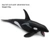 Wei Long Killer Whale Toy Model Figure - Miniature Figure - Sea Animal - Birthday Gift - Plastic - 3.9 x 2.95 x 2.95 inches view 4