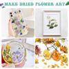 Suziko Professional Flower Press Kit 6 Layers 6.3 x 8.3 inch, Flower Pressing Kit for Adults Kids, Leaf Press,Great Gift Valentine's Day view 3