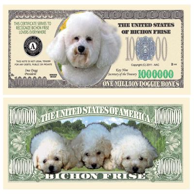 American Art Classics Bichon Frise Dog Million Dollar Bill -(Pack of 25) - Best Gift Or Keepsake for Bichon Frise Lovers