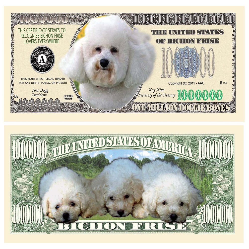 American Art Classics Bichon Frise Dog Million Dollar Bill -(Pack of 25) - Best Gift Or Keepsake for Bichon Frise Lovers