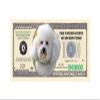 American Art Classics Bichon Frise Dog Million Dollar Bill -(Pack of 25) - Best Gift Or Keepsake for Bichon Frise Lovers view 2