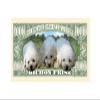 American Art Classics Bichon Frise Dog Million Dollar Bill -(Pack of 25) - Best Gift Or Keepsake for Bichon Frise Lovers view 3