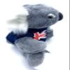Aeisage Koala Stuffed Animal - 6 Inch Plush Koala Bear with T-Shirt, Super Soft Australian Souvenir Gift view 4