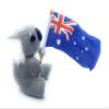 Aeisage Small Koala Stuffed Animal - 4" Plush Bear with Flag - Super Soft Australian Souvenir Gift view 4