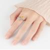 Fidget Anxiety Rings Rotatable Stress Relief Bead Ring Size Adjustable Open Design Ring JZ03-SF 0 view 4