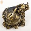 8" Brass Tortoise Piggy Bank | Dragon Tortoise | Handmade - Brass view 2