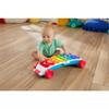 Fisher-Price Baby Learning Toy Giant Light-Up Xylophone, Pull-Along Pretend Musical Instrument for Developmental Play Toddlers Ages 9+ Months view 2