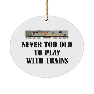 realpeoplegoods Railfan Gift - Railway Enthusiast Ornament - Railroad Engineer Present - Locomotive - Never Too Old to Play with Trains