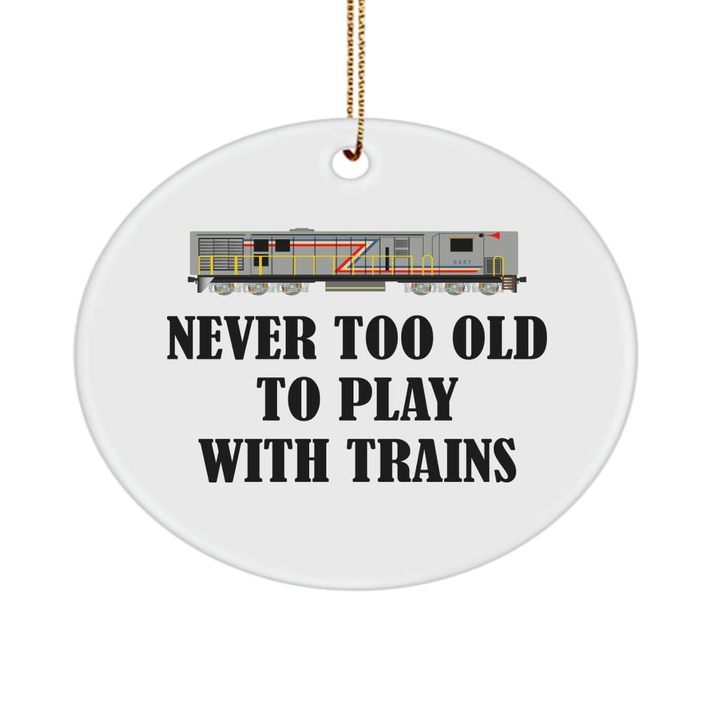 realpeoplegoods Railfan Gift - Railway Enthusiast Ornament - Railroad Engineer Present - Locomotive - Never Too Old to Play with Trains