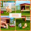 Civaner 11 Pcs Bunny Toys and Playsets Farm World Set Farm Animal Figures Barnyard Carrot Rabbit Hutch Accessories for Kids Ages 3 and Above Learning Educational Toys Birthday Gift view 3