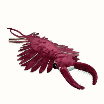 BABY FRANKIEZHOU Simulation Anomalocaris Plush Toy 21 Inch, Cute Soft Anomalocaris Stuffed Animal for Kids Boys and Girls, Red
