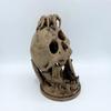 3D Printed Hand-Painted Desert's Kiss Skull Diorama Dice Tower view 4