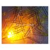 100pcs 3mm LED Light White Yellow Red Green Blue Assorted Kit DIY LEDs Set Electronic DIY kit view 3