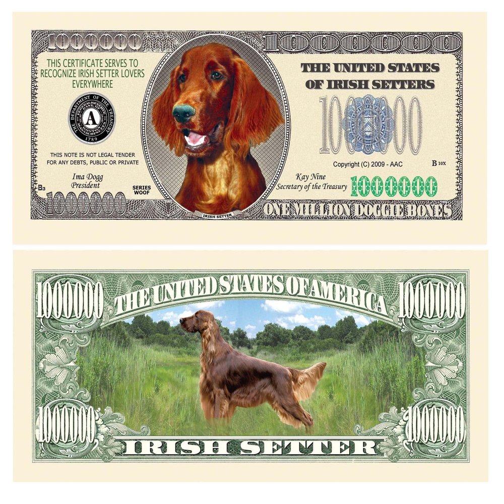 American Art Classics Pack of 50 - Irish Setter Million Dollar Bills - Best Gift for Irish Setter Lovers