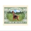 American Art Classics Pack of 50 - Irish Setter Million Dollar Bills - Best Gift for Irish Setter Lovers view 3