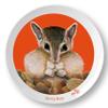 Life-like 10" Chipmunk Plate for Children. Meet Shelly Nuts! Made in the USA, BPA-Free, Break Resistant Durable Unisex Kids & Toddler Dish. Fun Animal Lover Vegan Gift! view 1