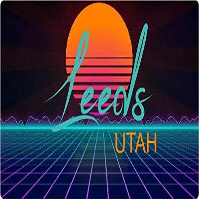 Leeds Utah 4 X 2.25-Inch Vinyl Decal Stiker Retro Neon Design