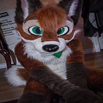 FurryWu Studio Brown Huksy Dog Fursuit Fullsuit Teen Costumes Child Full Furry Suit Furries Anime Costume