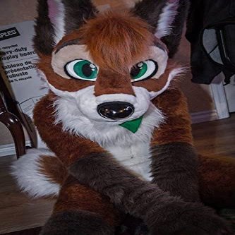 FurryWu Studio Brown Huksy Dog Fursuit Fullsuit Teen Costumes Child Full Furry Suit Furries Anime Costume