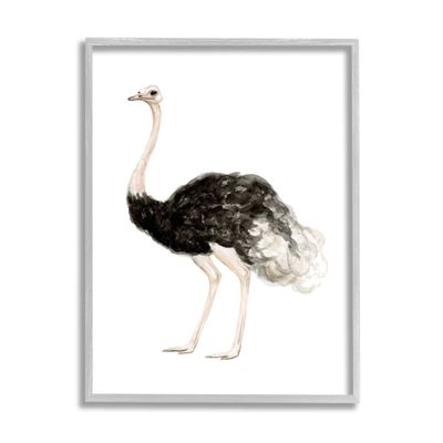 Stupell Industries Ostrich Bird Watercolor Portrait Kids' Nursery Wildlife Animal, Design by Fox Hollow Studios