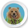 Life-like 10" Quokka Plate for Children. Meet Quokka Okra! Made in the USA, BPA-Free, Break Resistant Durable Unisex Kids & Toddler Dish. Fun Animal Lover Vegan Gift! view 1