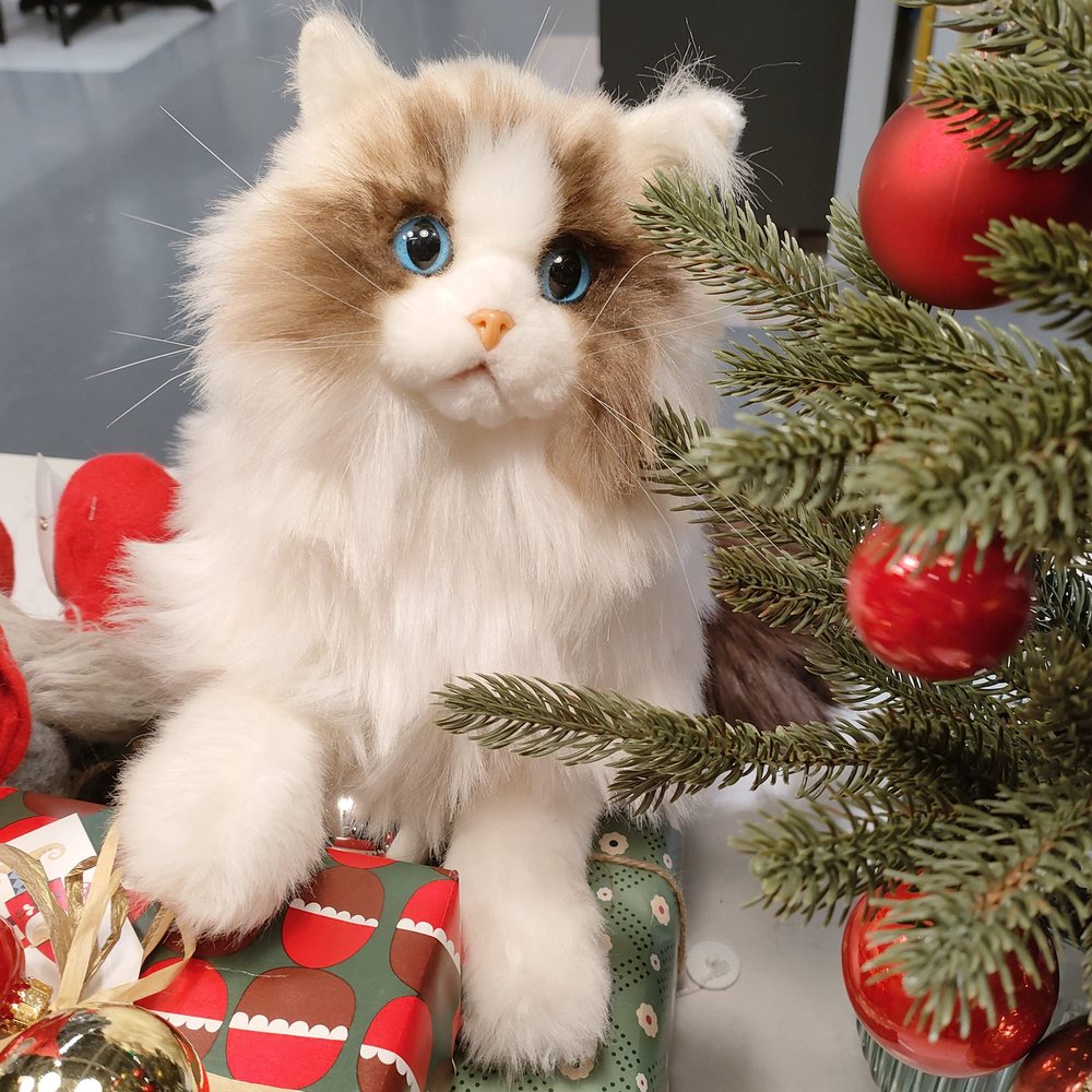 Chongker Weighted Stuffed Animals, Handmade Realistic Cat Plush Toy 3LBS, Lifelike Real Cat Size Companion Pet