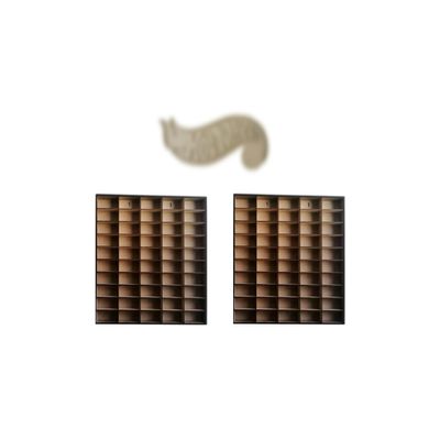 Alejandro Cortes Display Case and Toy Storage Organizer for 1:64 Scale Diecast Cars Set of 2 with 50-Space Capacity Each for Collectible Models