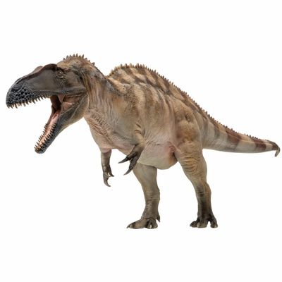 PNSO Prehistoric Dinosaur Models (61Fergus The Acrocanthosaurus)