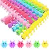 18 PCS Stretchy String Fidget Sensory Toys,Relaxing Toys for Kids ans Adults Stress Relief,Goodie Bag Fillers,Party Favor School Teacher Prize view 1