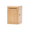 Coin Bank Piggy Bank with Lock Solid Wood Coin Bank Large Capacity Money Bank Desktop Decoration Great Gift for Kids Adult Great Birthday Gift for Kids view 1
