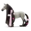 Schleich : Horse Club Sofia's Beauties/Sofia & Dusty Starter Set 42584 view 3